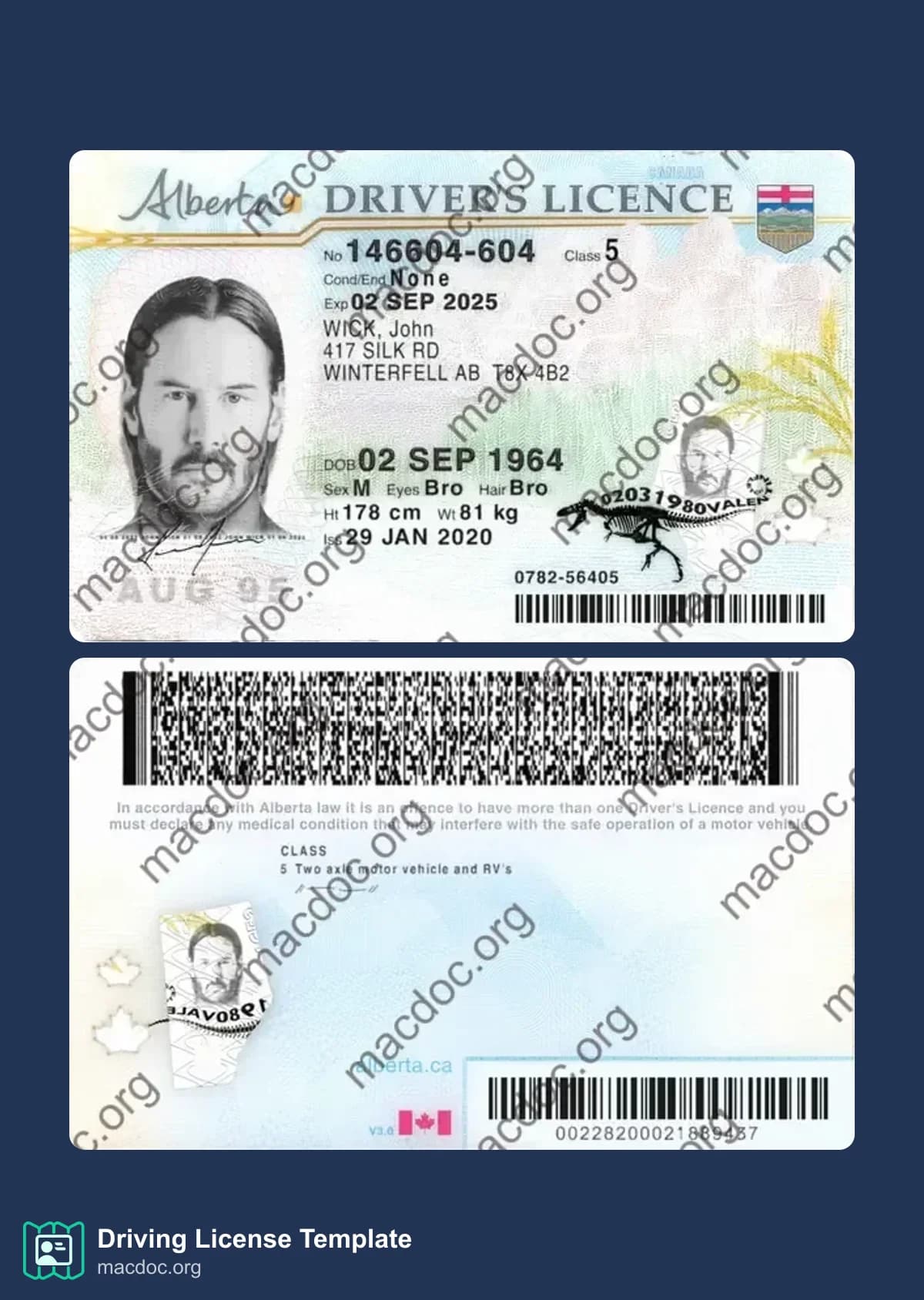Canada Alberta Driver License template in PSD format, fully editable