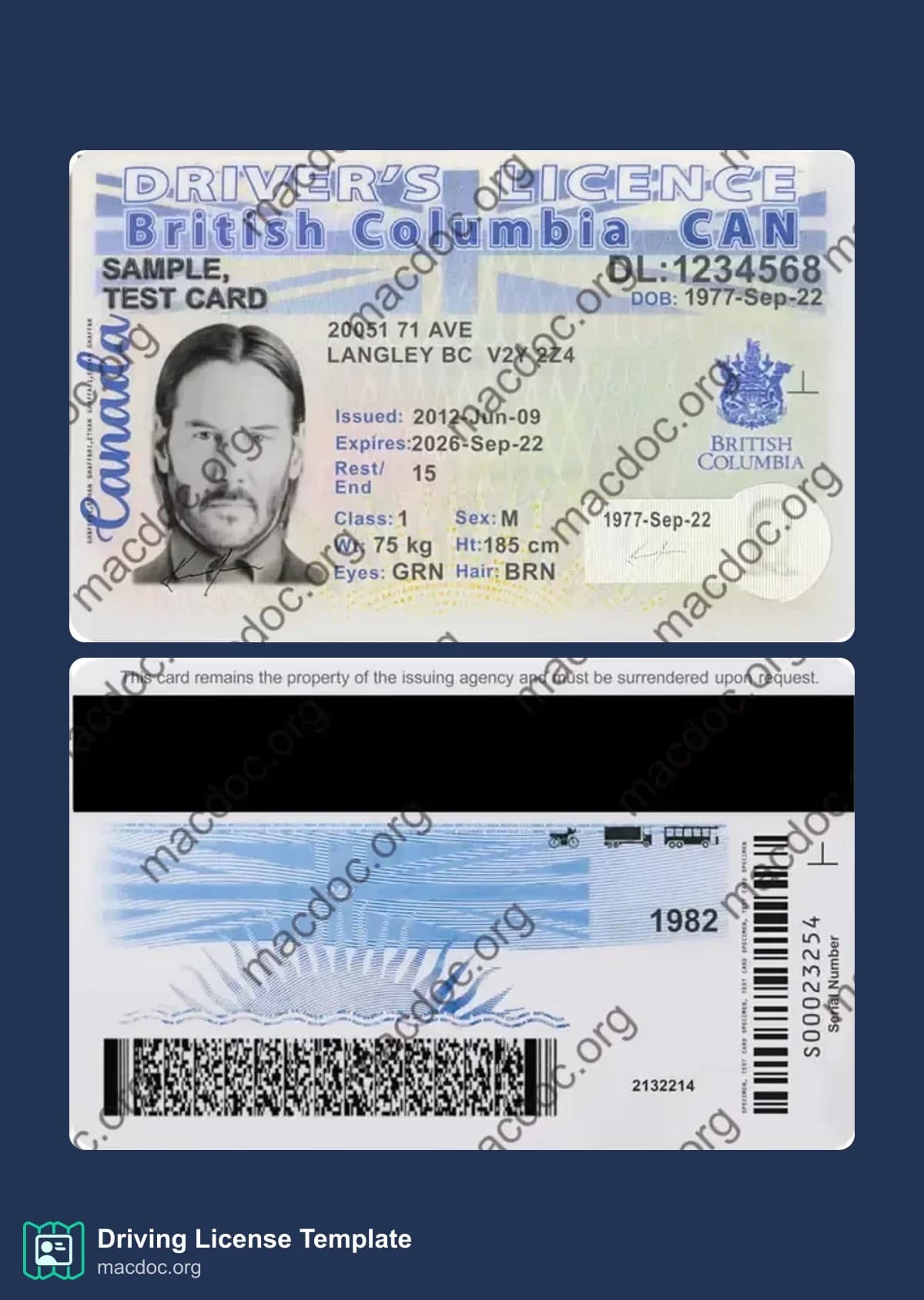Canada British Columbia Driver License in PSD Format