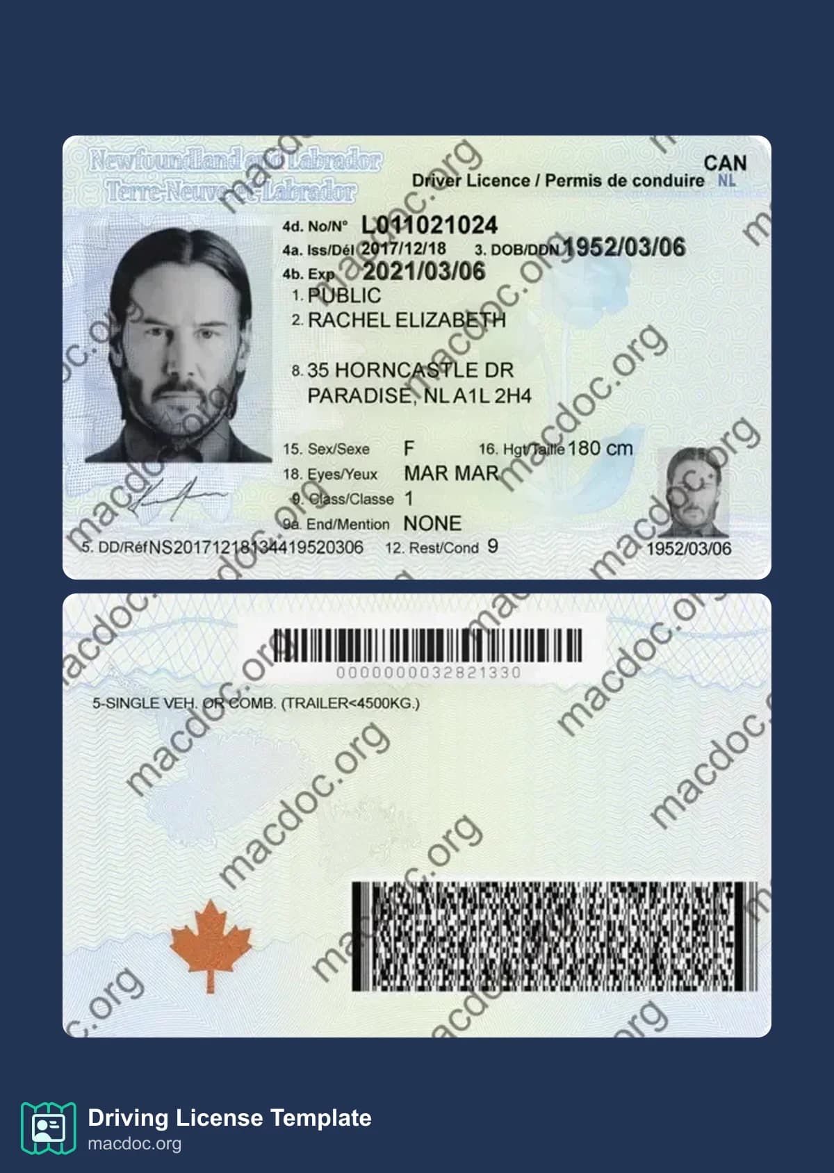 Canada Newfoundland and Labrador Driver License in PSD Format