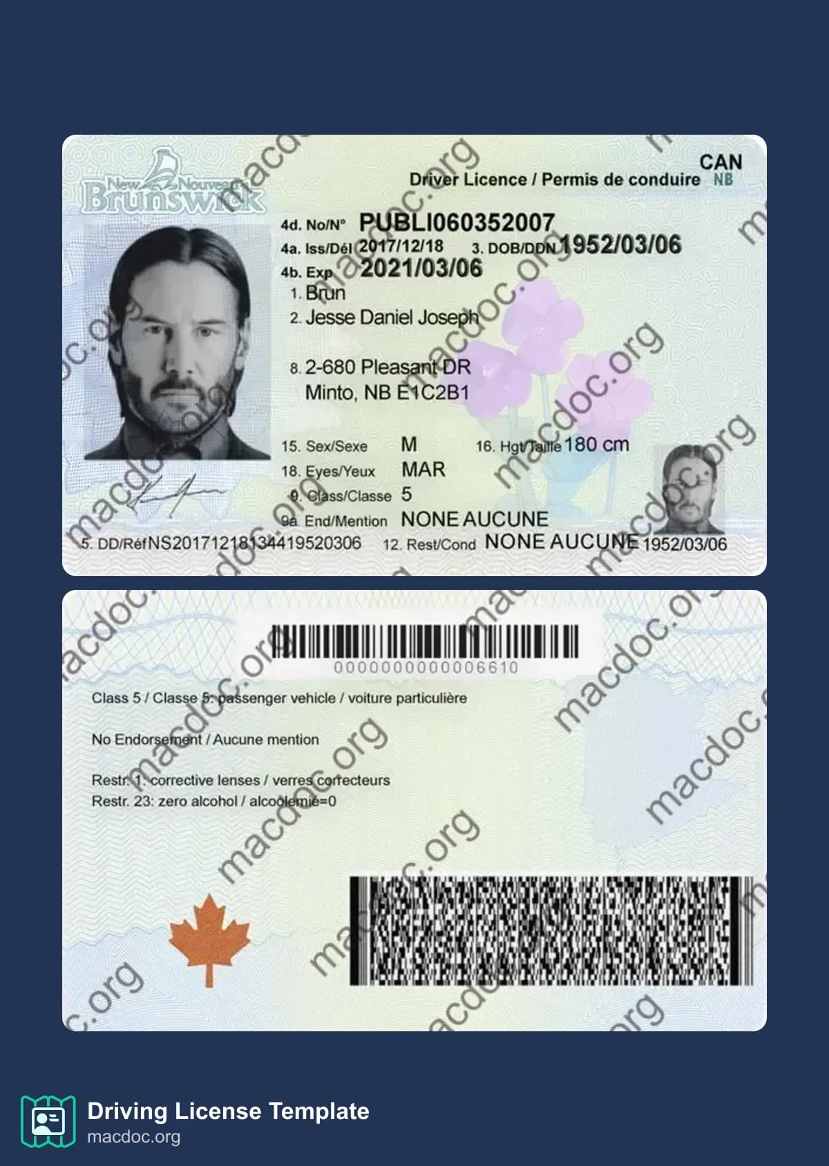 Canada New Brunswick Driver License iTemplate PSD | High-Quality & Editable