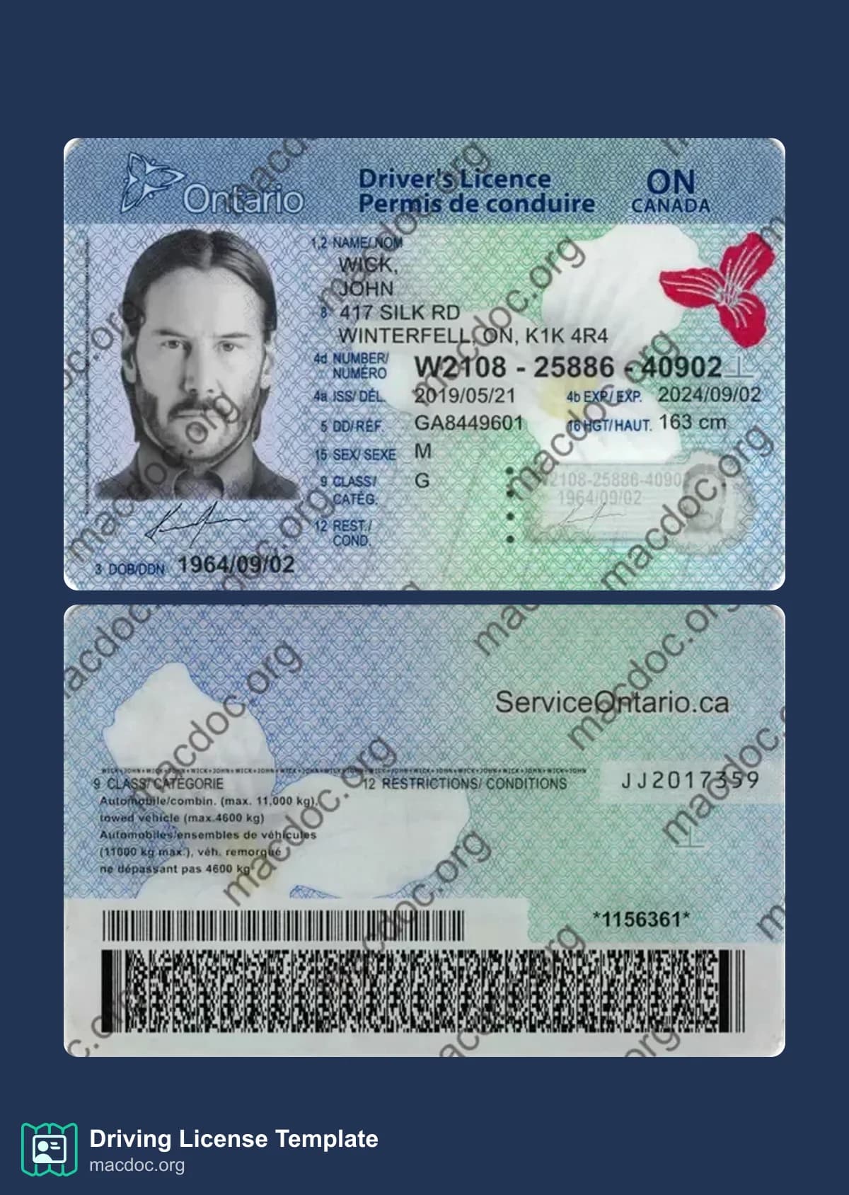 Canada Ontario Driver License in PSD Format