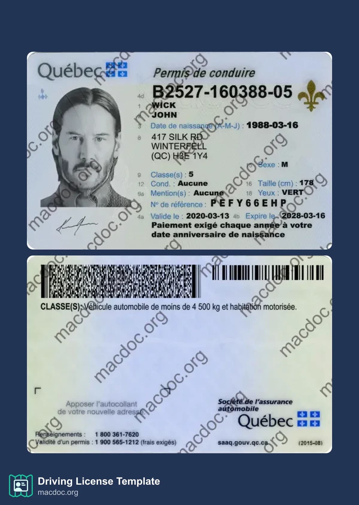 Canada Quebec Driver License download example in PSD format (present)