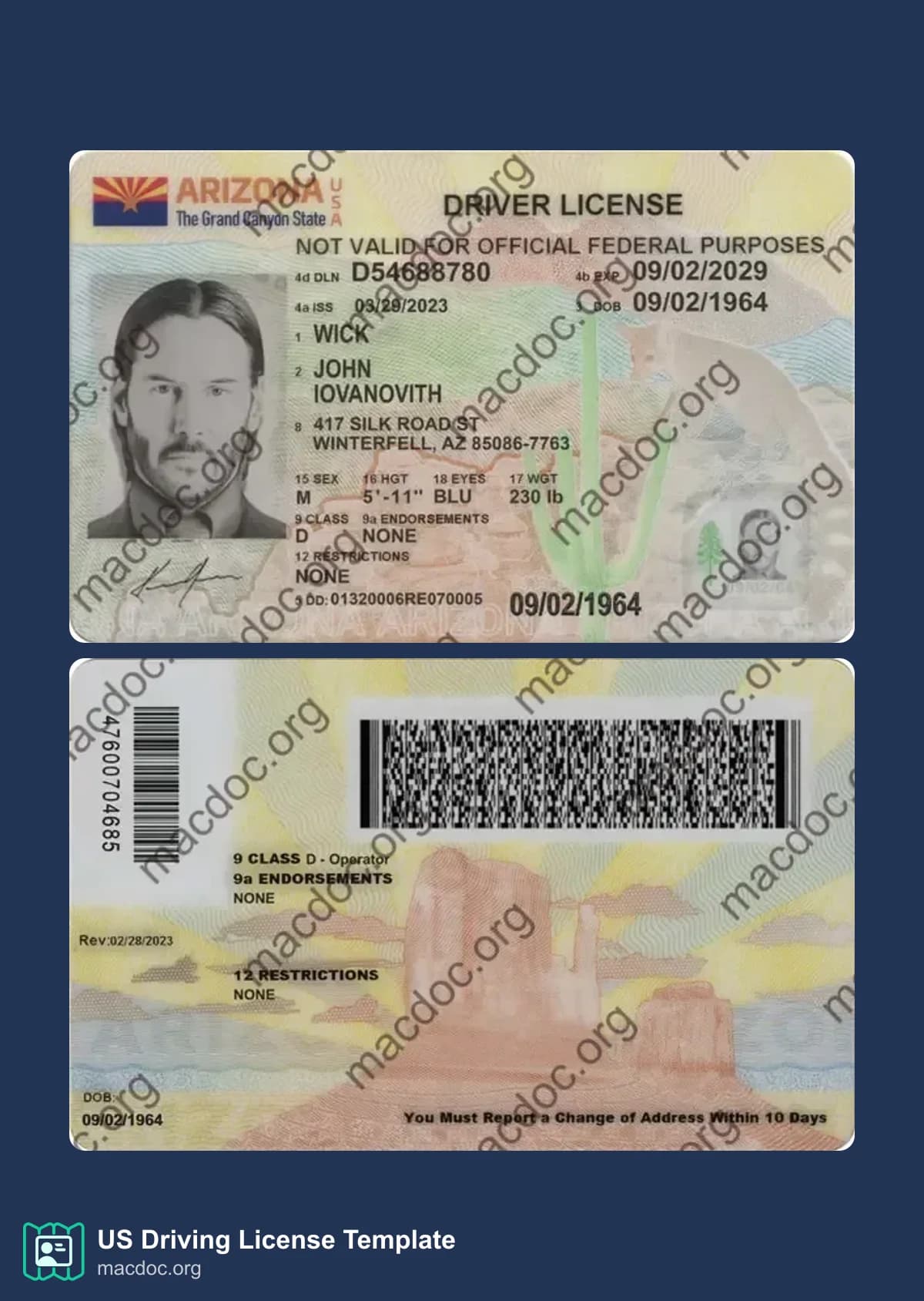 Arizona Driver License download example in PSD format (2025– present)