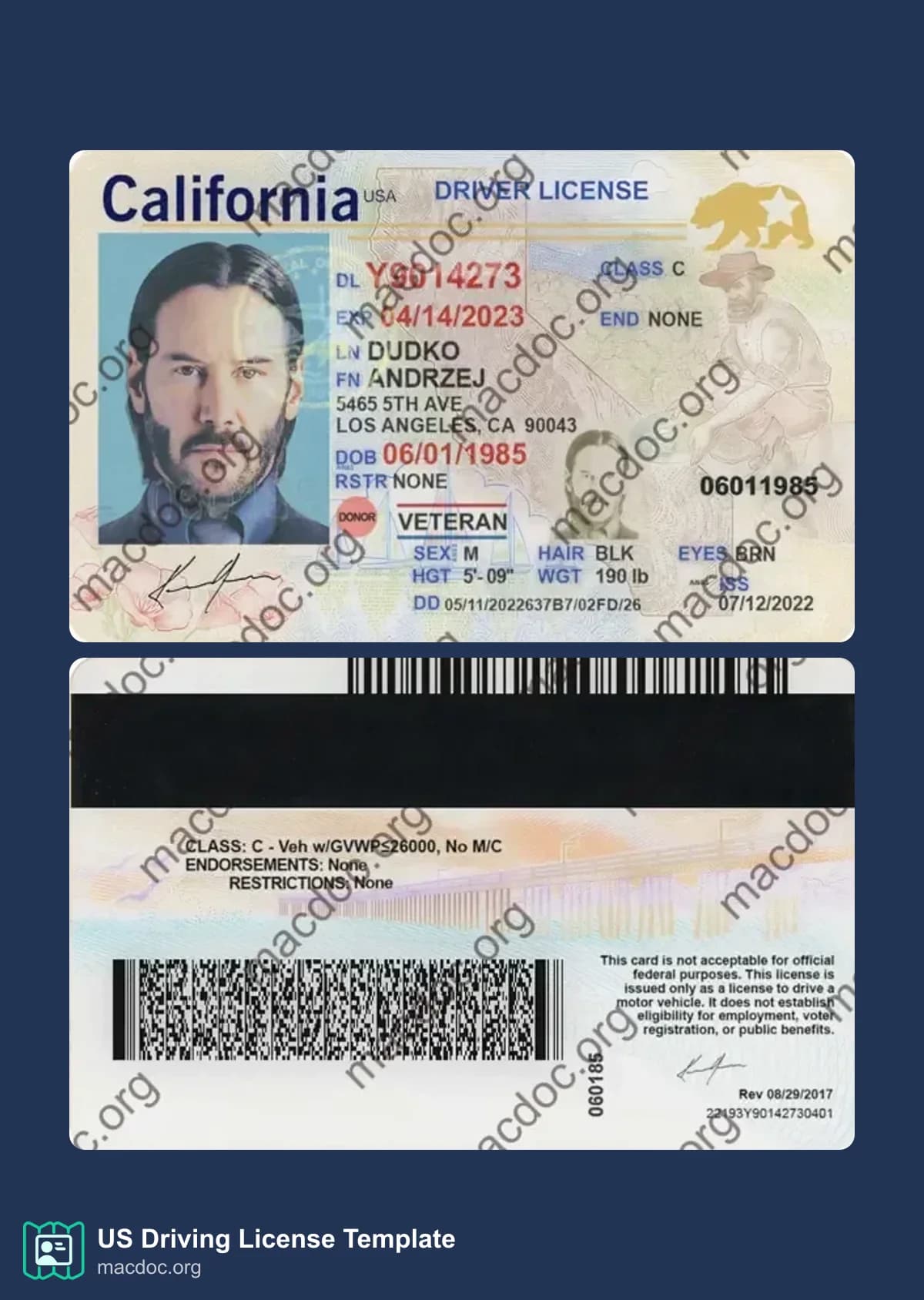 California Driver License template High-Quality & Editable PSD format, with all fonts