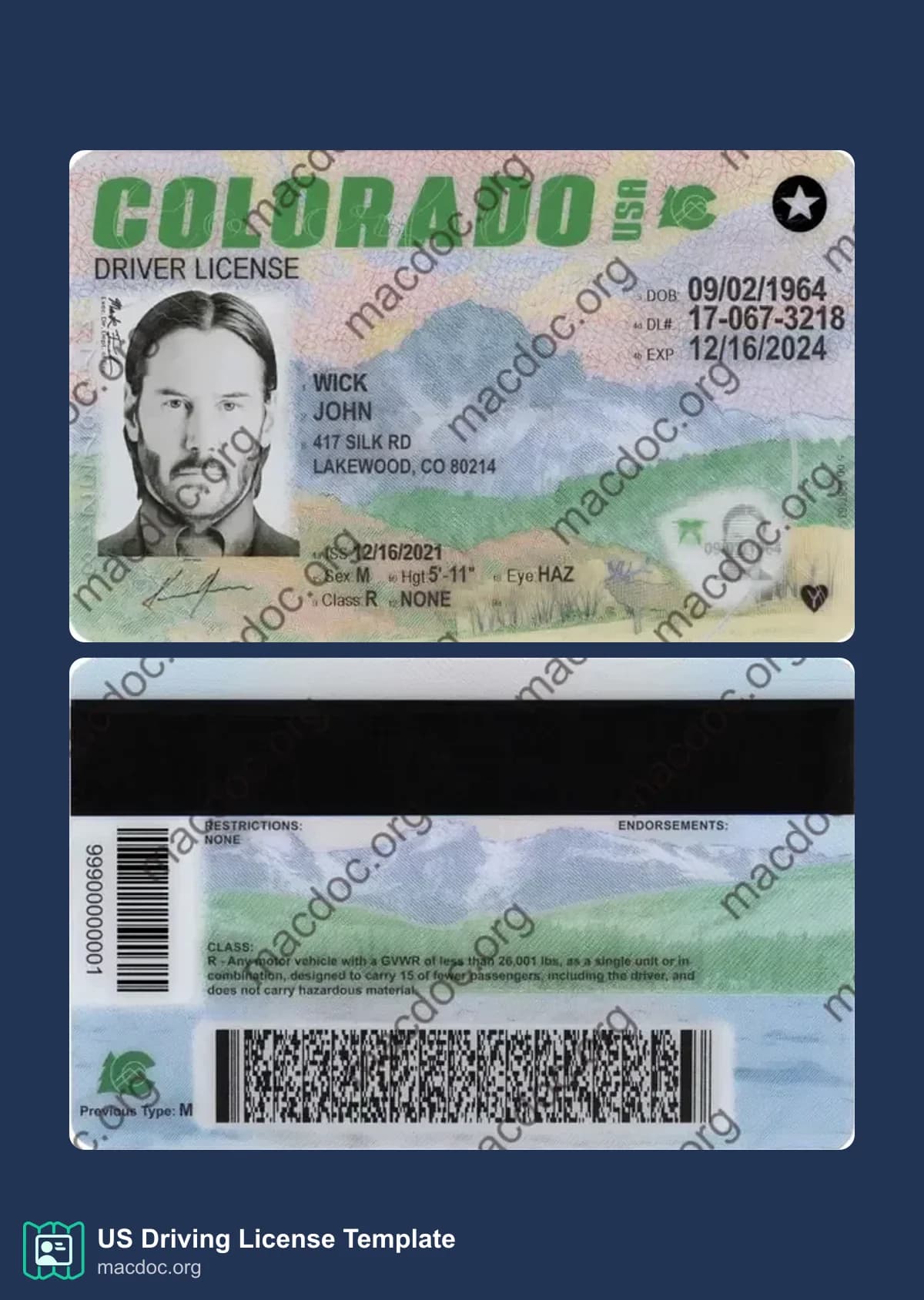 Colorado Driver License Template PSD | High-Quality & Editable