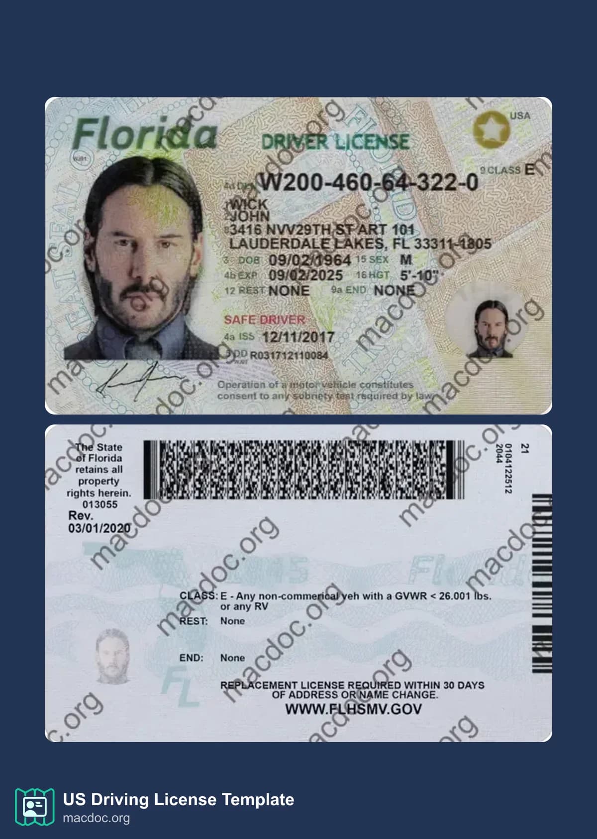 Florida Driver License download example in PSD format (2025– present)