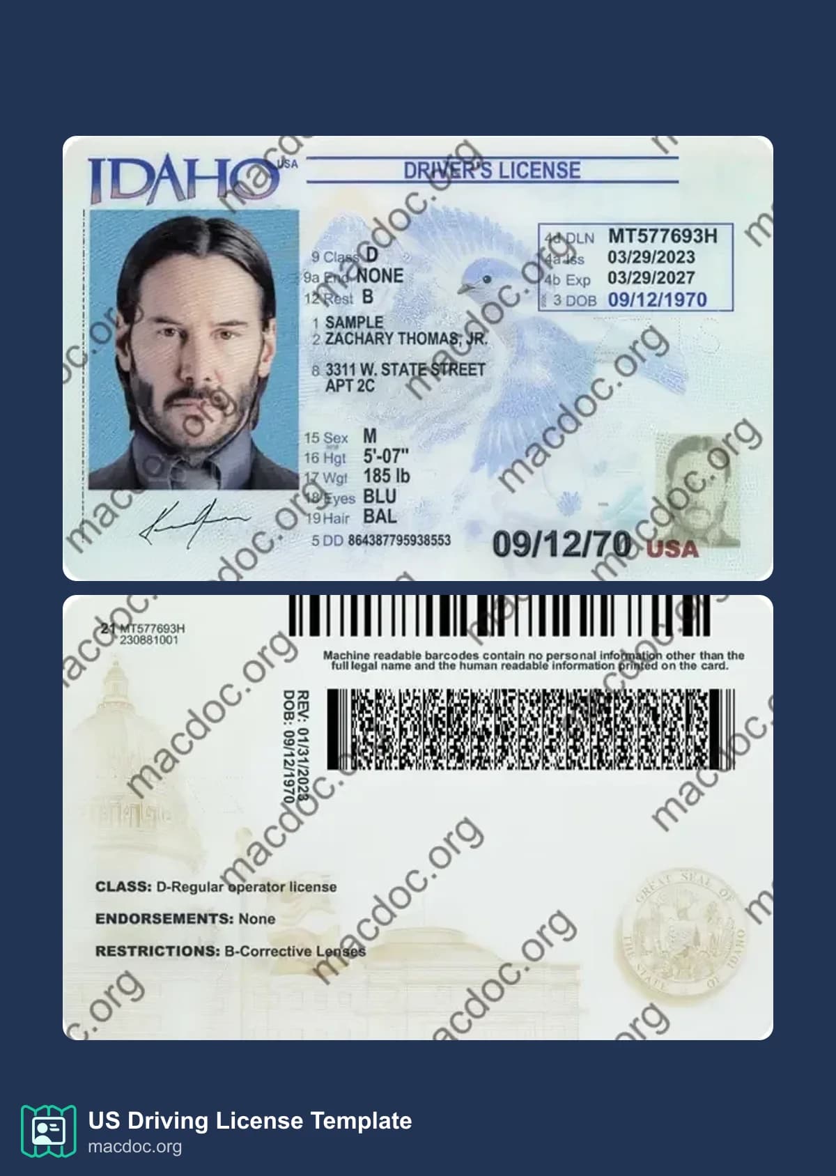 Idaho Driver License Template – Editable PSD Mockup