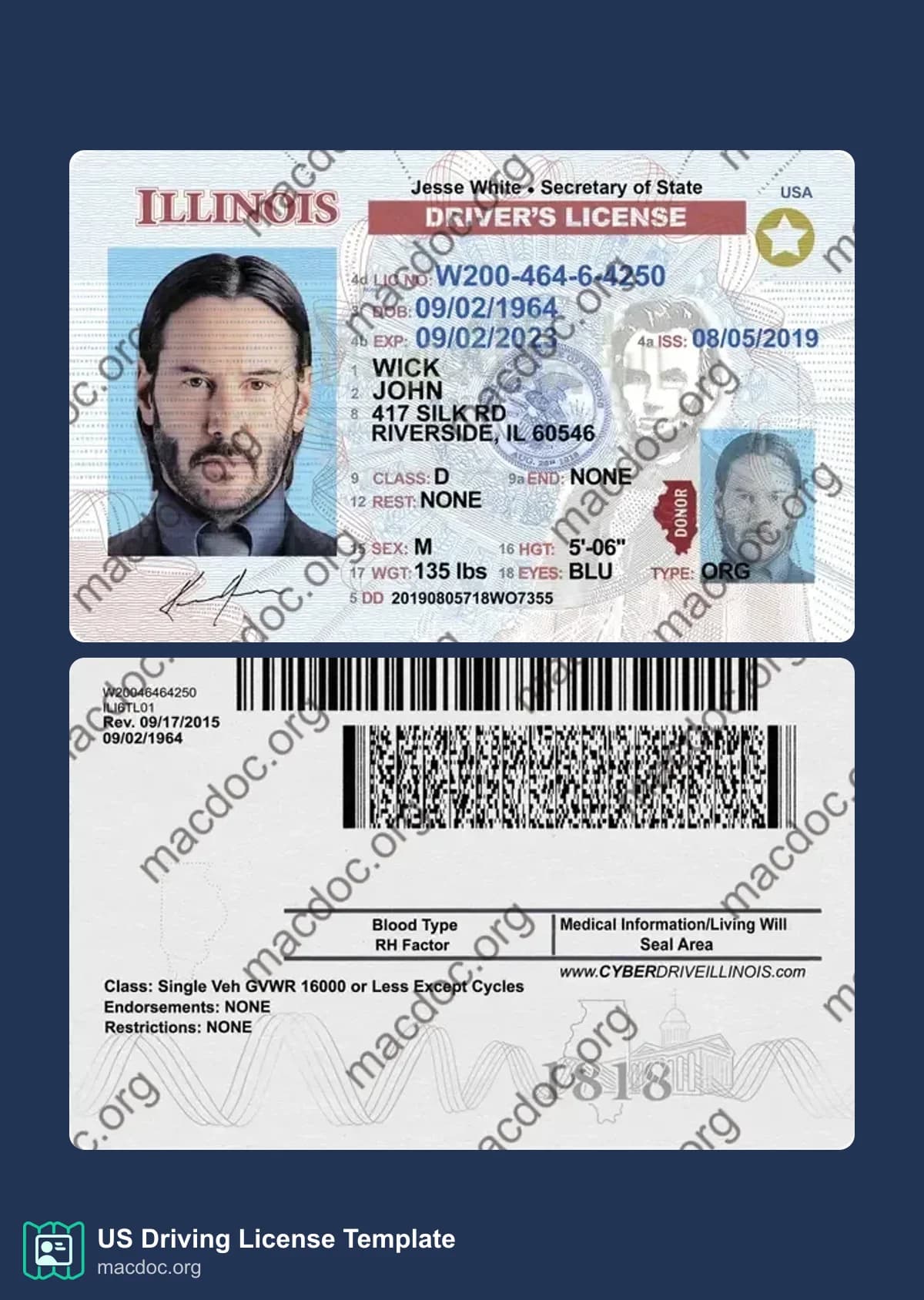 Illinois Driver License Template PSD | High-Quality & Editable