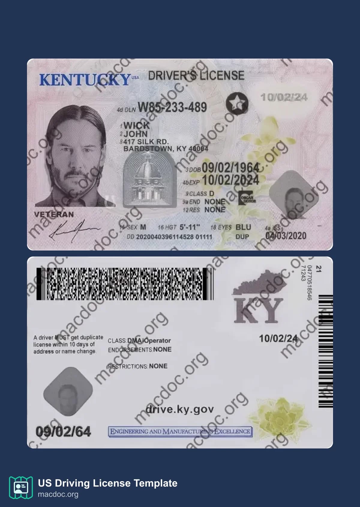 Kentucky Driver License in PSD Format