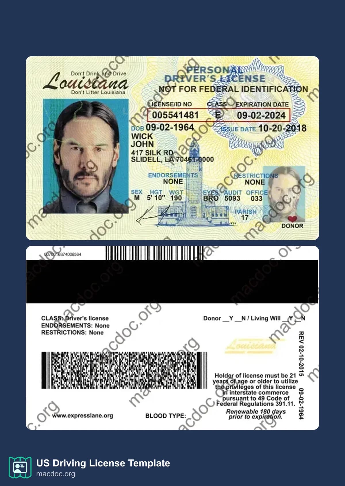 Louisiana Driver License template in PSD format, fully editable (2025-present)