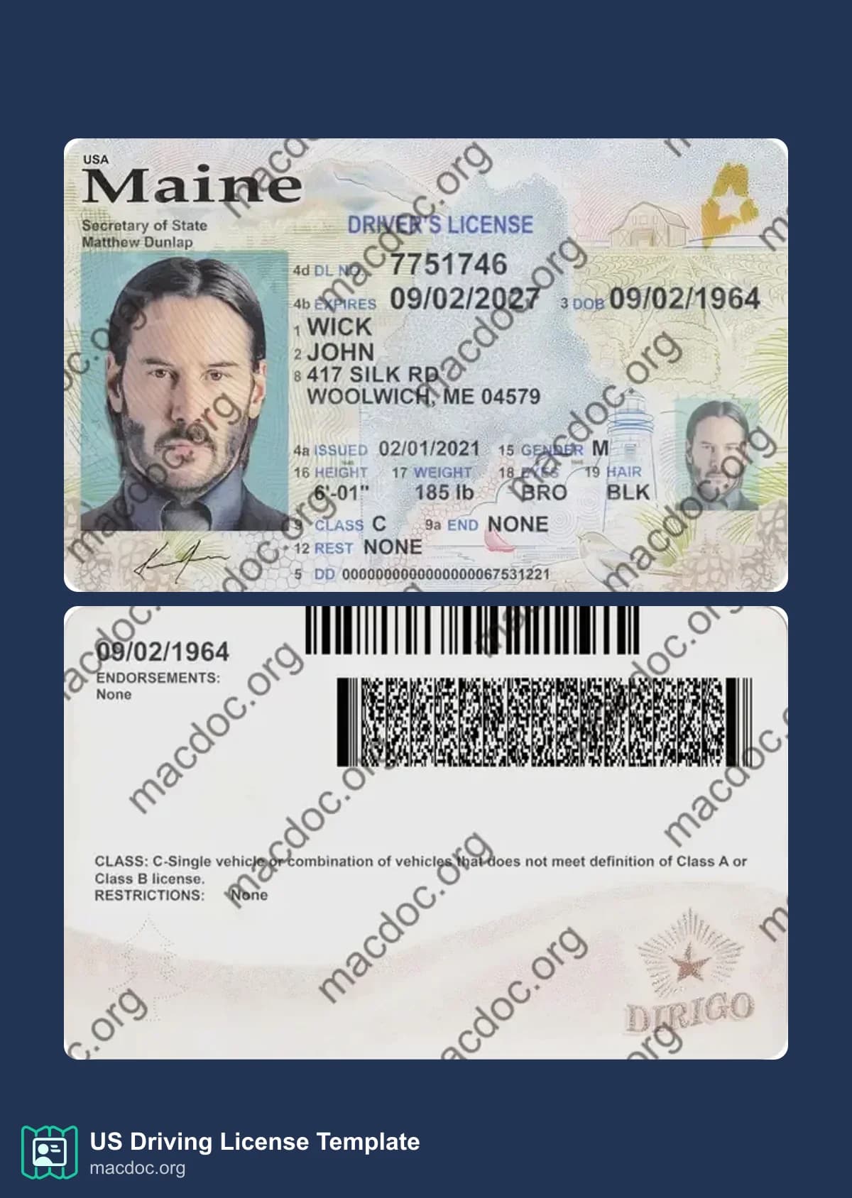 Maine Driver License Template PSD | High-Quality & Editable