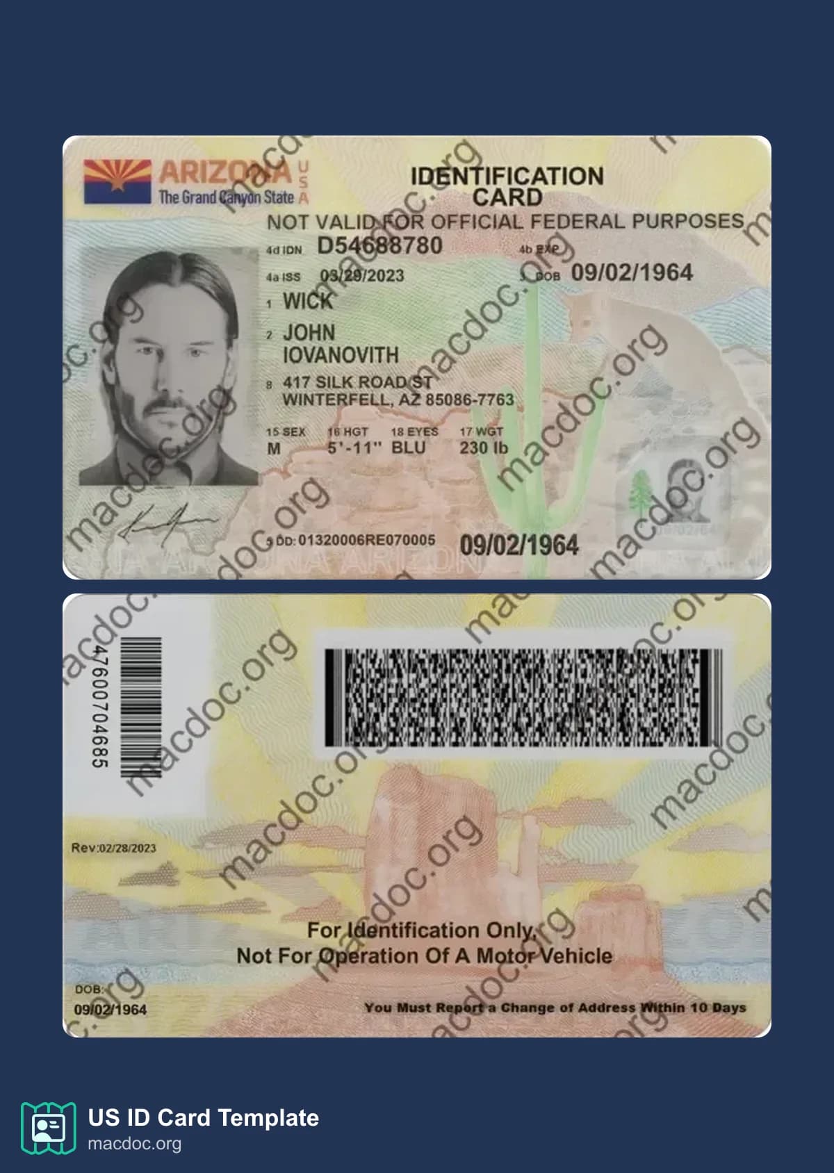 Arizona ID Card template in PSD format, fully editable (2025-present)