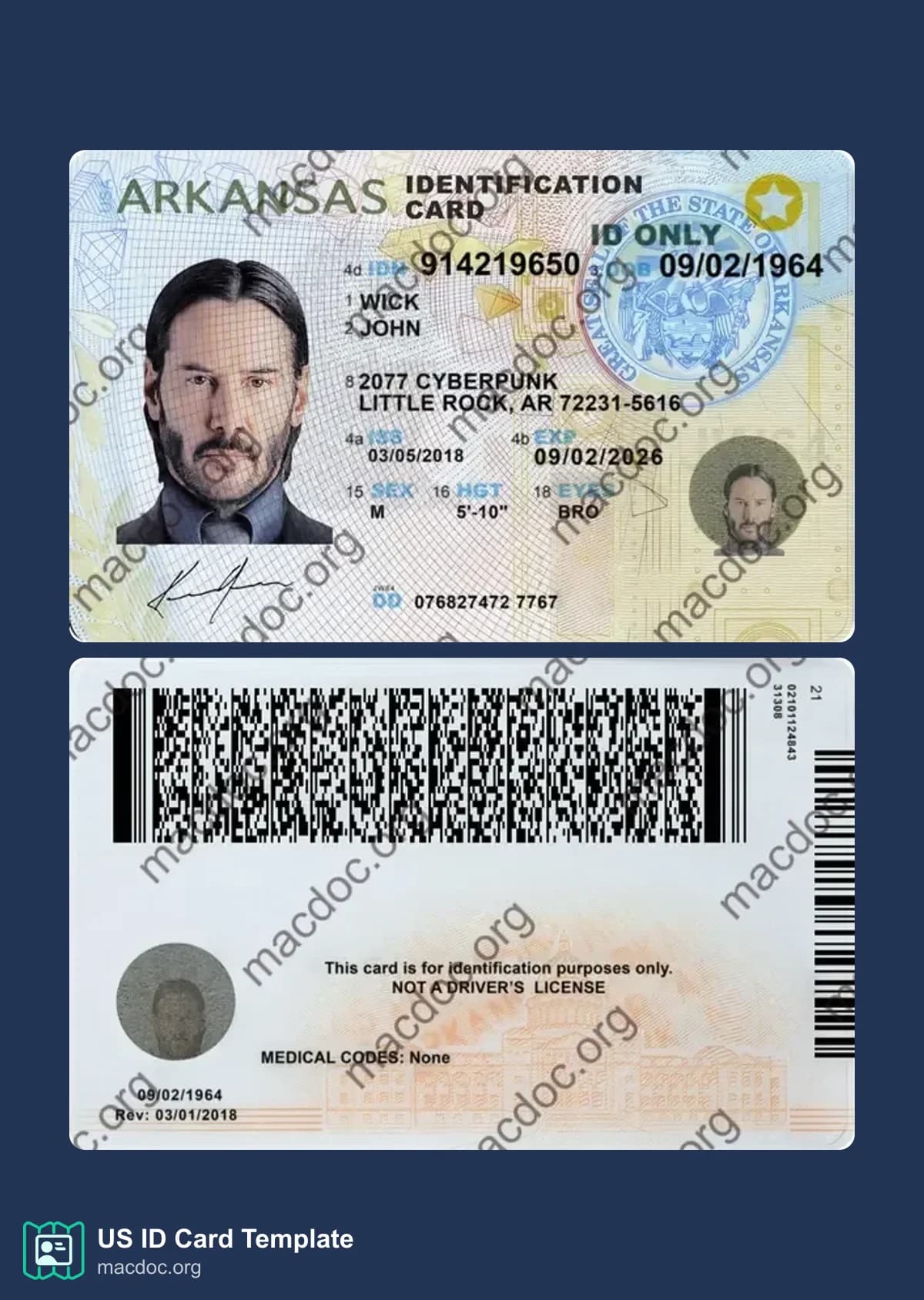 Arkansas ID Card template download example in PSD format (2025 – present)