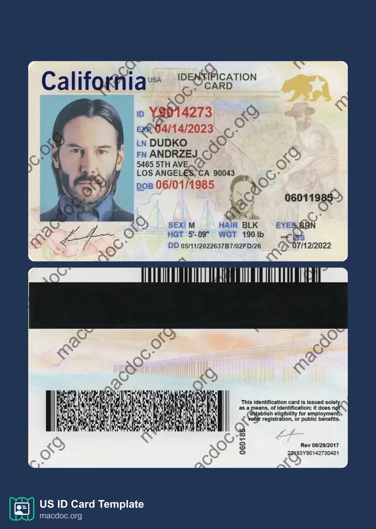 California ID Card in PSD Format