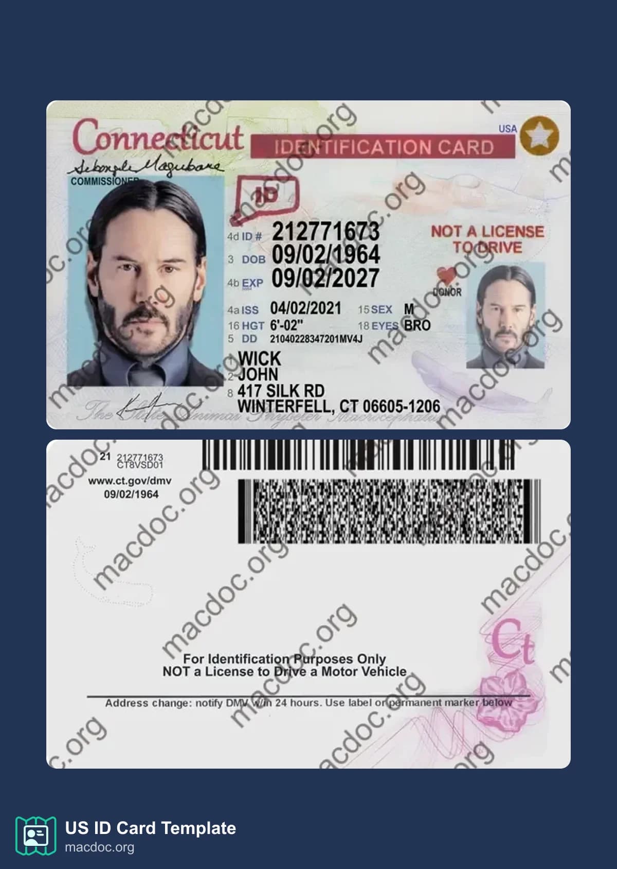 Connecticut ID Card template in PSD format, fully editable (2025-present)