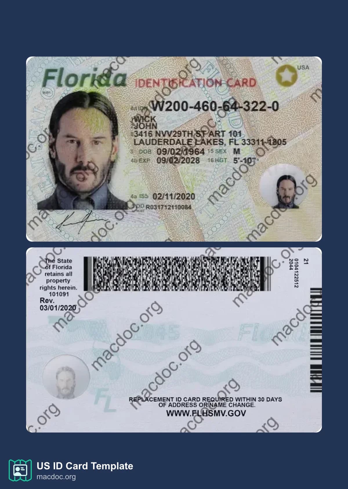 Florida ID Card template download example in PSD format (2025 – present)