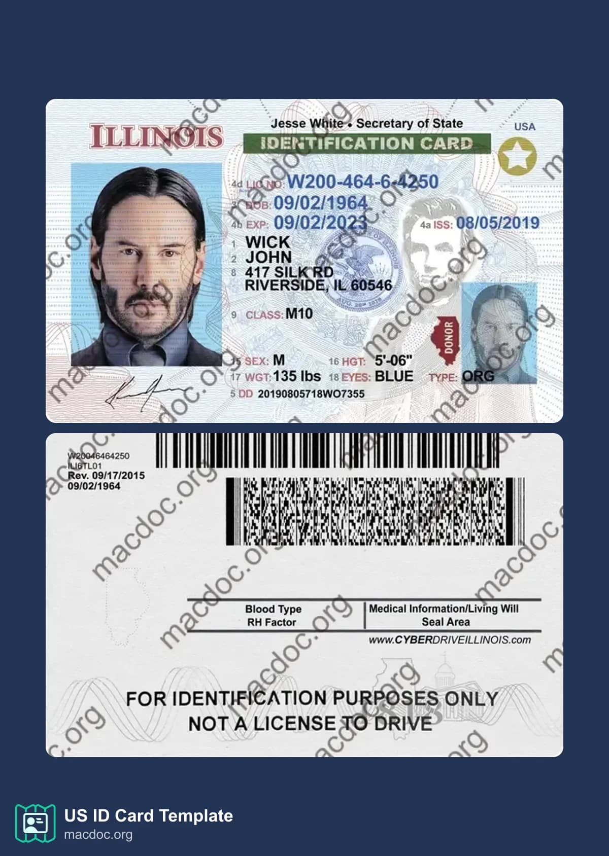 Illinois ID Card Template PSD | High-Quality & Editable