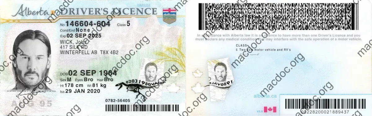Driver License